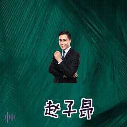 赵子昂